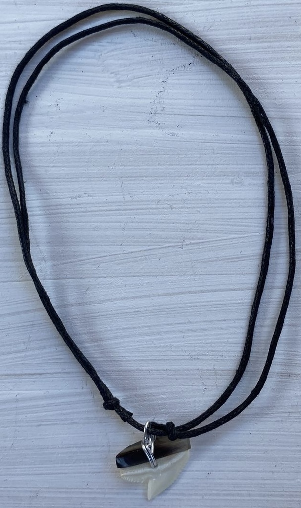 COLLAR DIENTE DE TIBURON