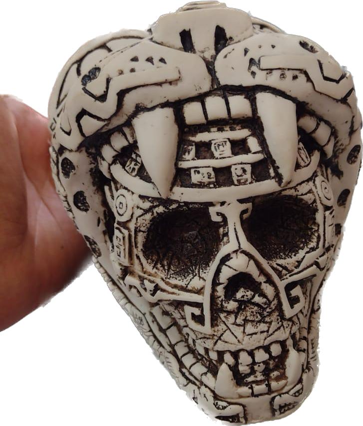 Craneo Jaguar Chico