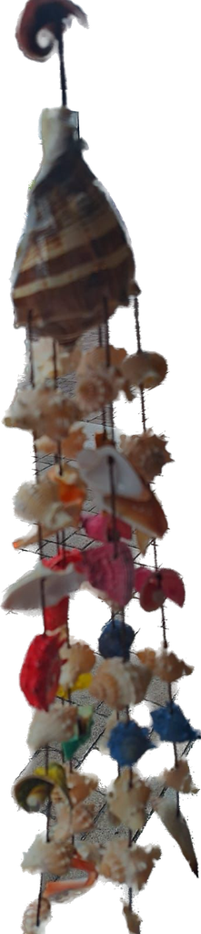 Timbre concha grande