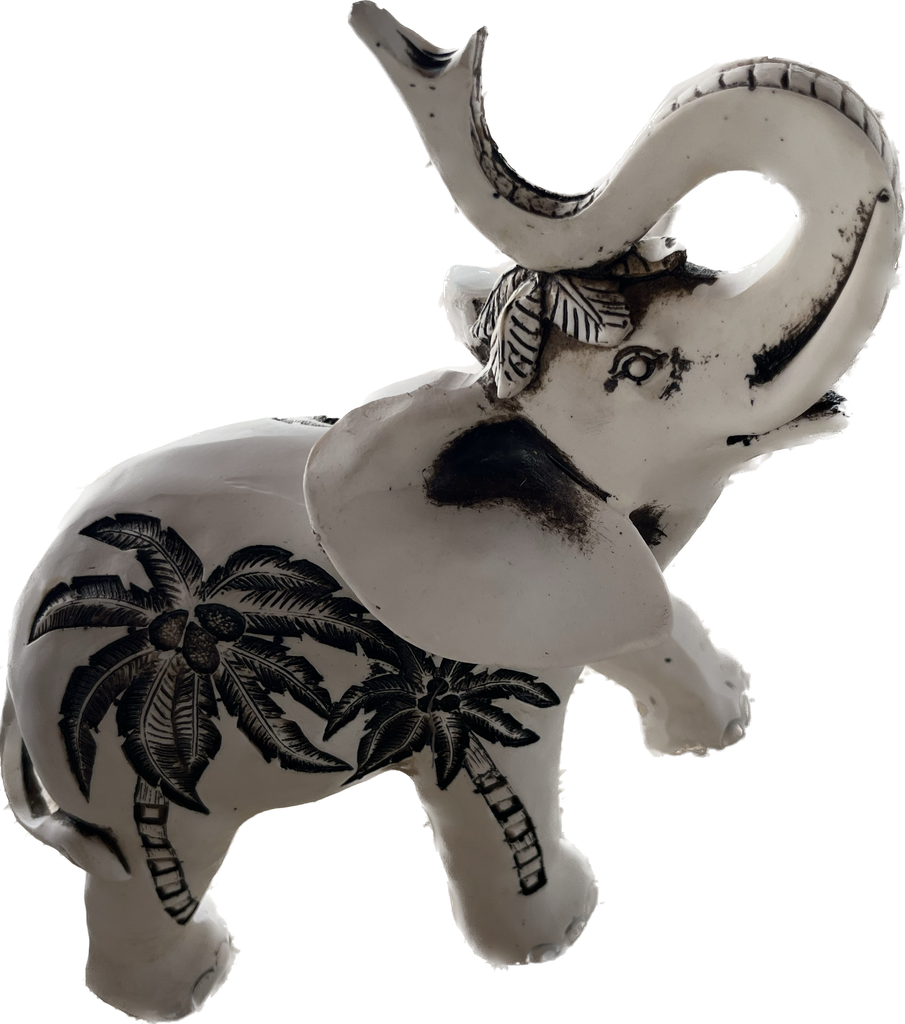 Elefante Grande Hueso Palmera