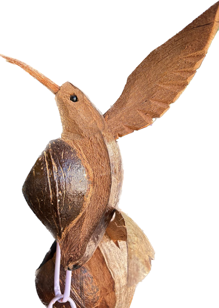 COLIBRI DE COCO
