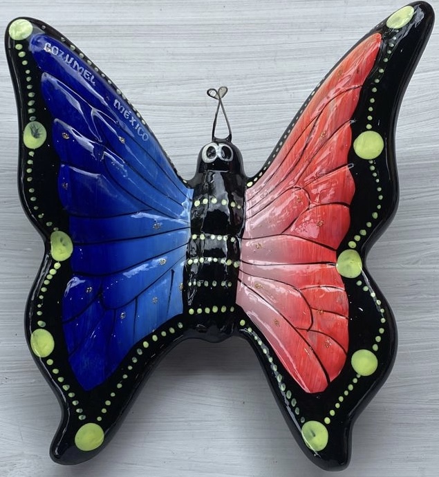 MARIPOSA BARRO GRANDE