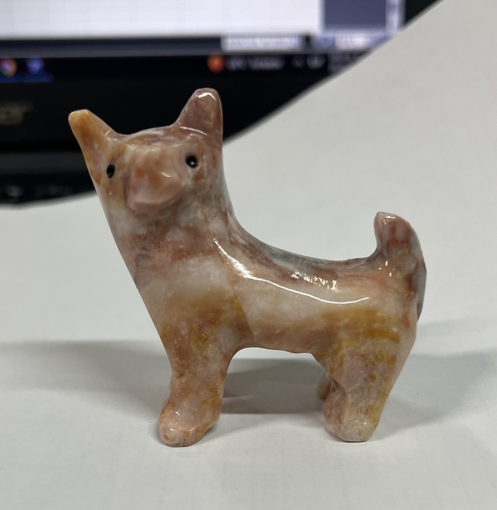 Perro Onix