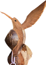 [C10] COLIBRI DE COCO