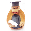 [C2] CABEZAS DE COCO