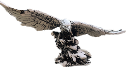 [H31] Águila Chica Hueso