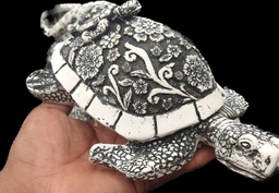 [H03] TORTUGA GRANDE CON HIJO