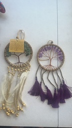 [IN10] ATRA PIEDRA ALAMBRE ARBOL