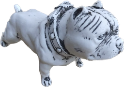 [H02] PERRO DANTE HUESO