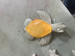 [RP26] TORTUGA JUMBO