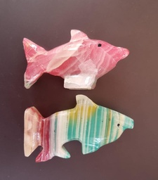 [K04] DELFIN ONIX CH.