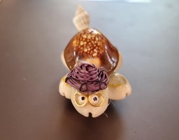 [TT1] TORTUGA CARACOL