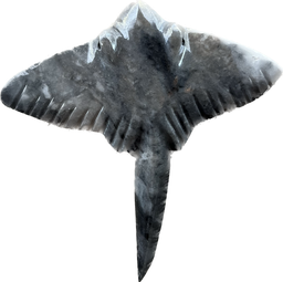 [RP23] Mantaraya Onix