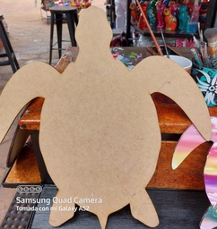 [FST2] TORTUGA GRANDE FRIDA