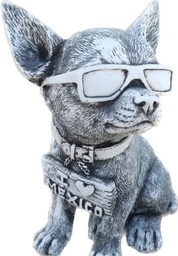 [H10] Perro chihuahueño