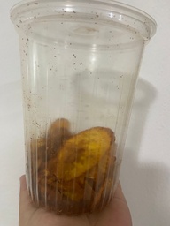 Platanos