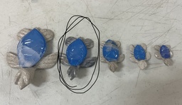 [RP04] Tortuga Onix Mediana