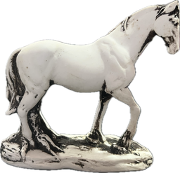 [H34] Caballo chico Hueso